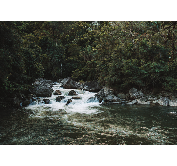 Serene rivierscène foto behang natuur - TenStickers