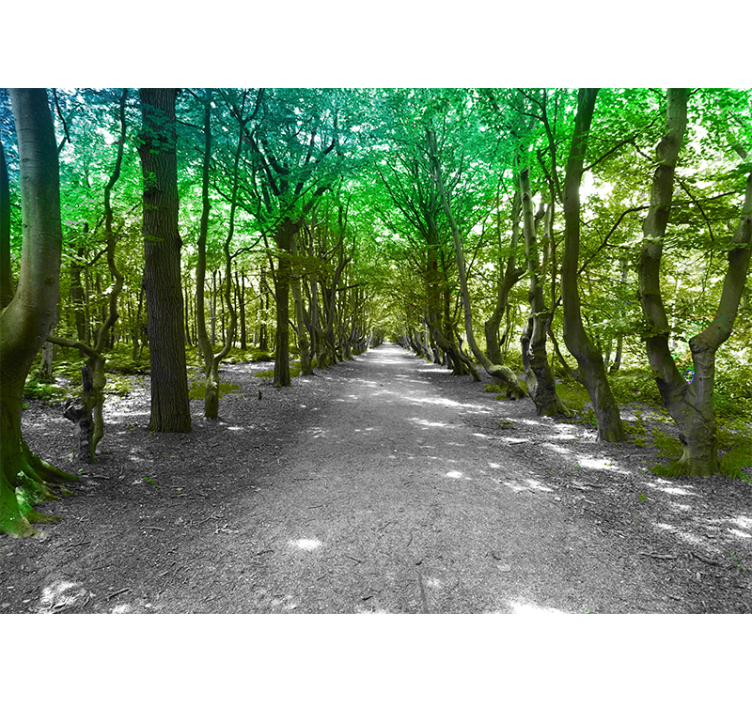 Foto behang natuur lush tree path - TenStickers