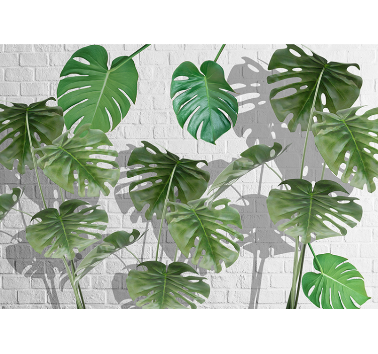 Fotobehang natuur monstera bladeren arrangement - TenStickers