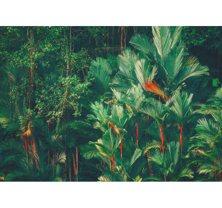Foto behang jungle tropische palm collectie - TenStickers
