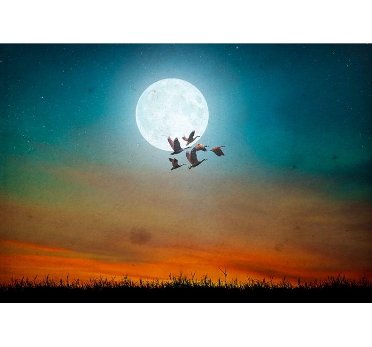 Foto behang natuur moonlit sky flock - TenStickers