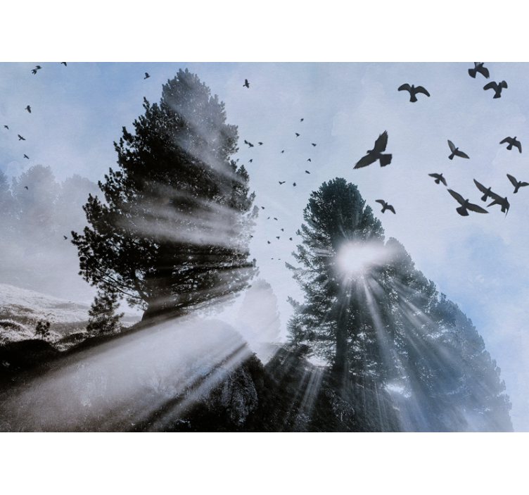 Stralende oerwoudstralen met vogels foto behang bos - TenStickers