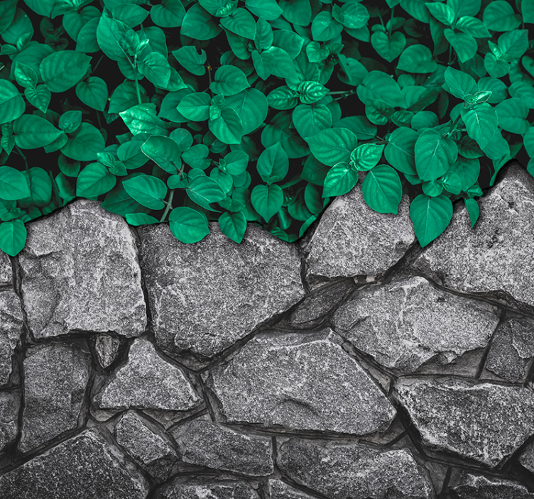 Bladeren en stenen Fotobehang woonkamer - TenStickers