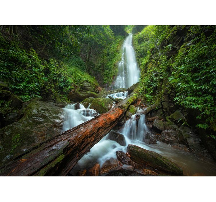 Serene watervalcascade foto behang waterval - TenStickers
