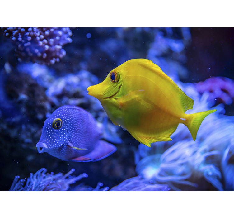 Scène met het waterleven fotobehang dieren - TenStickers