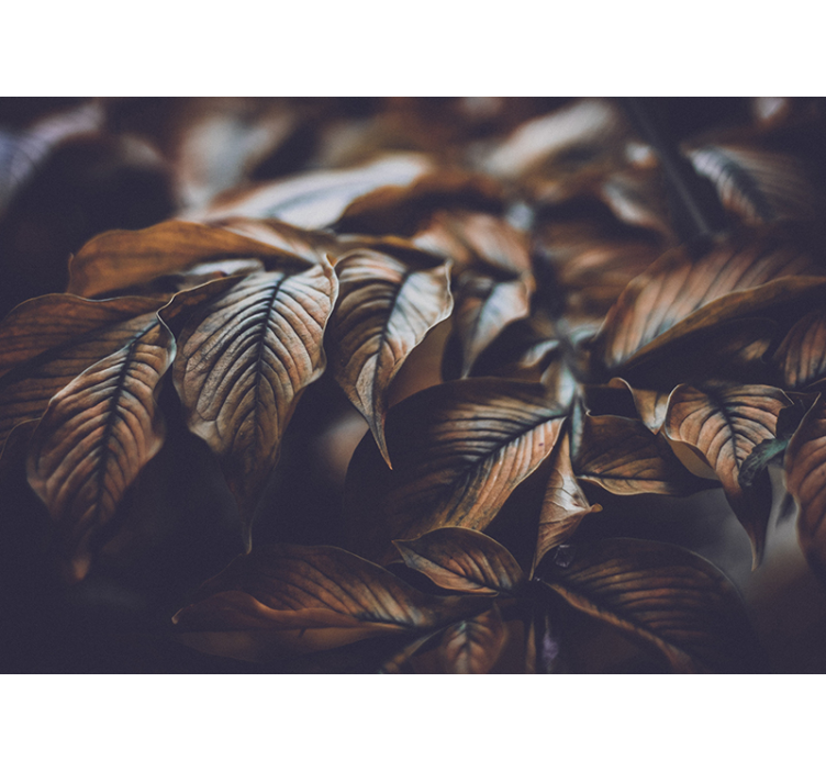 Gouden bladeren natuur fotobehang - TenStickers