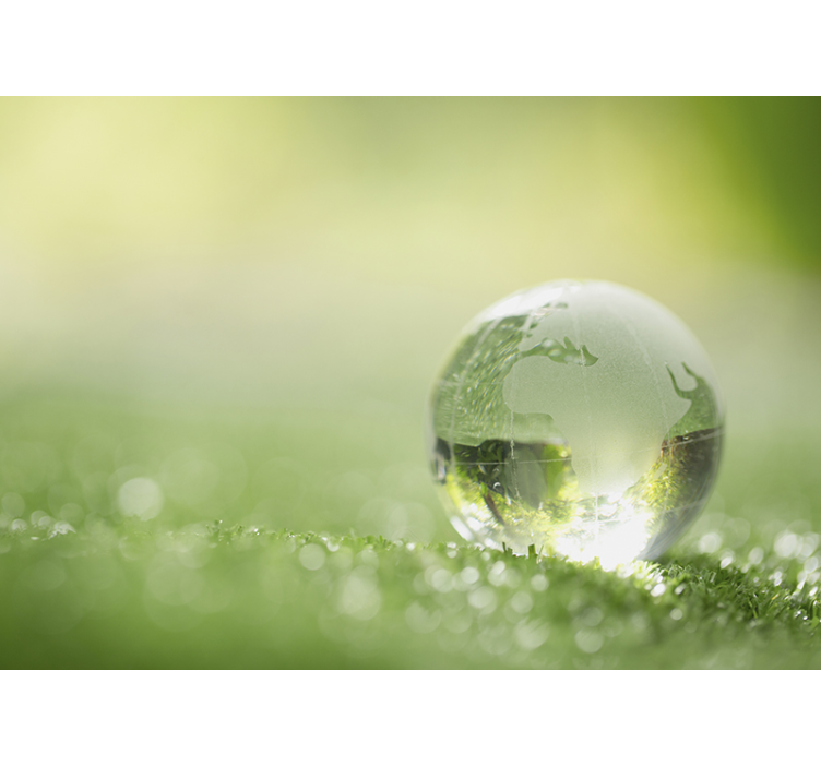 Foto behang natuur globe op gras - TenStickers