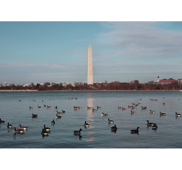 Fotobehang steden en landen washington monument reflectie - TenStickers