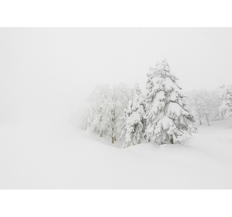 Foto behang natuur winterse bos scene - TenStickers