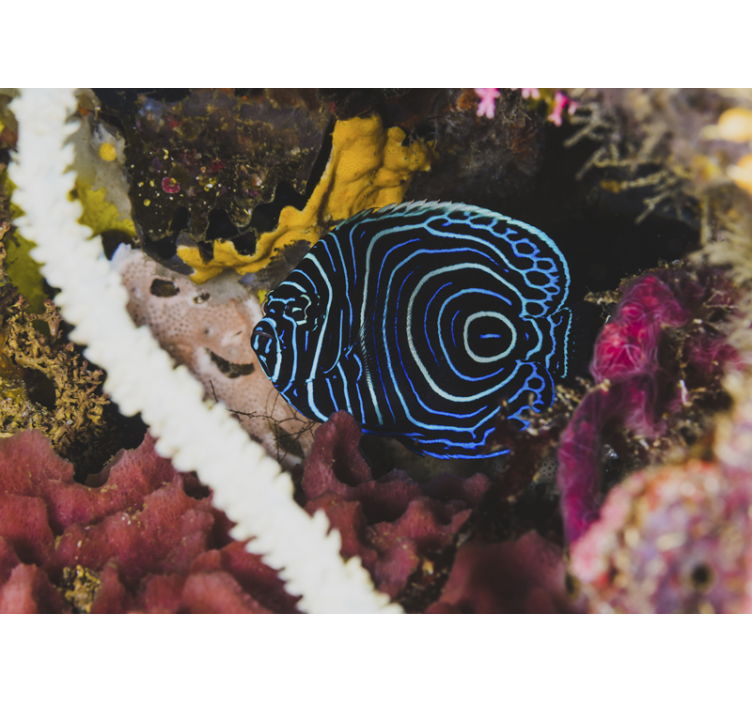 Fotobehang dieren blauwe vissen patroon - TenStickers