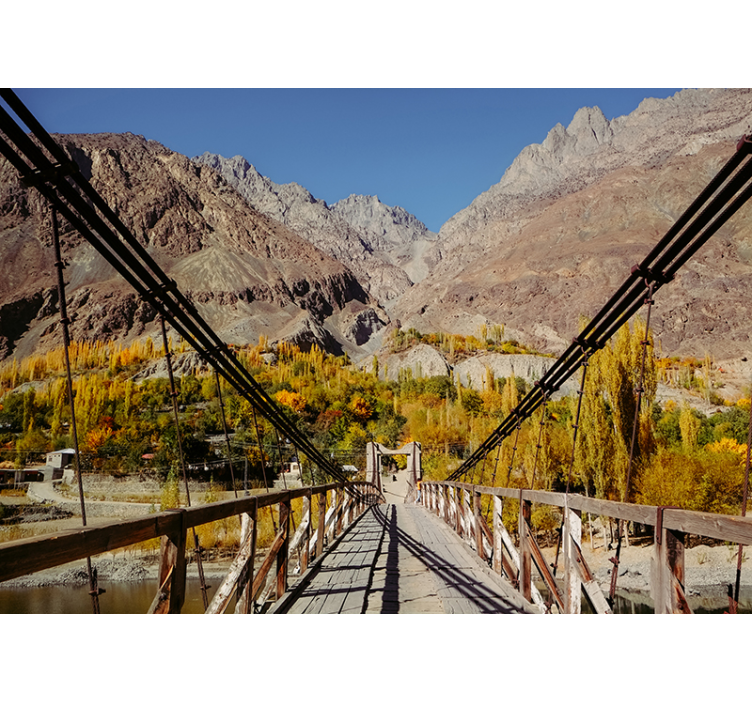 Levendige bladschikking foto behang natuur - TenStickers