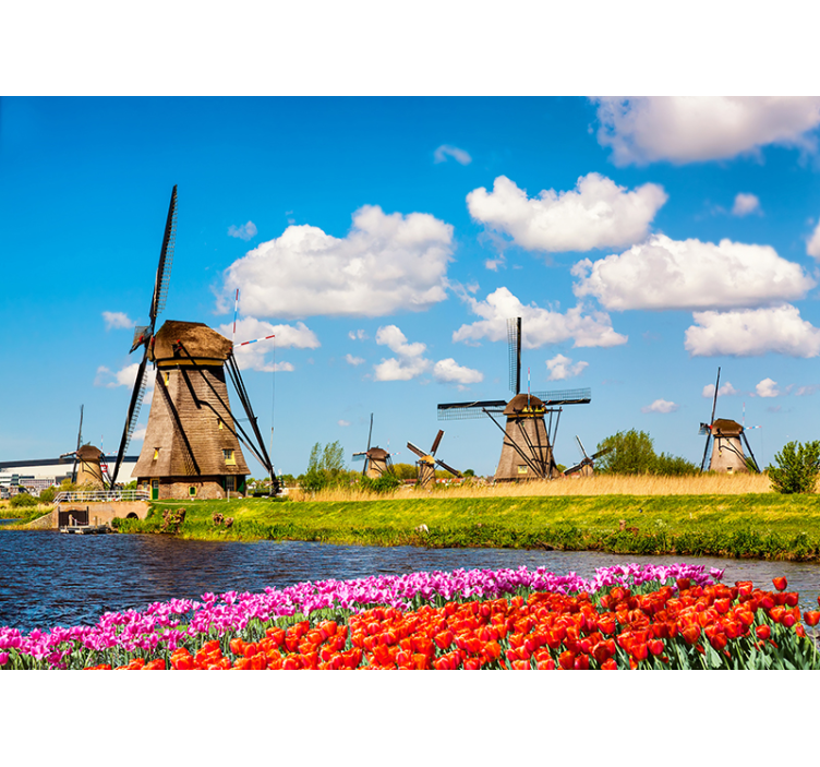 Windmolens en tulpen fotobehang steden en landen - TenStickers