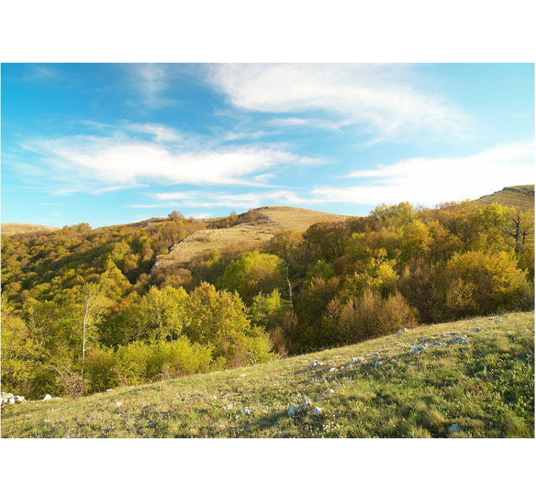 Fotobehang landschap glooiend heuvellandschap - TenStickers