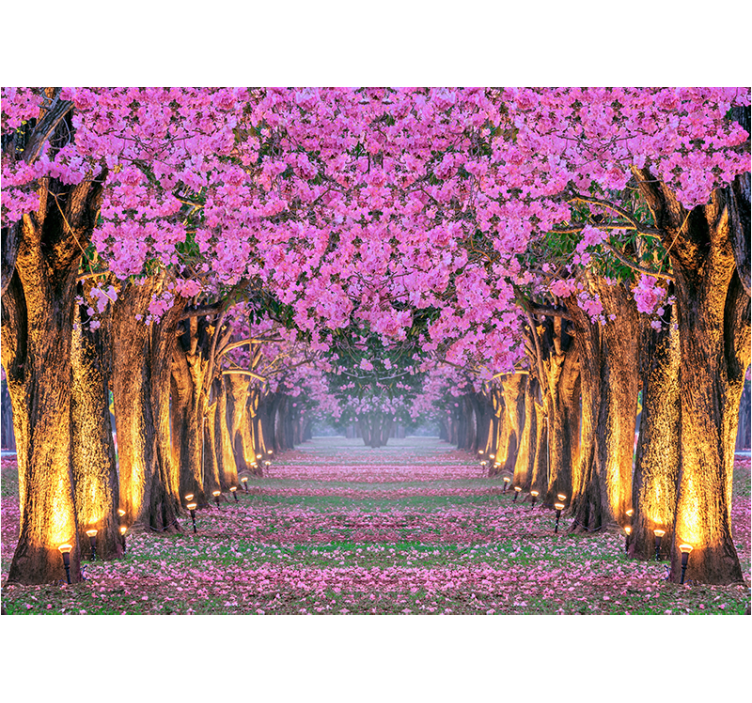 Fotobehang andere bloemen bloeiende roze pad - TenStickers