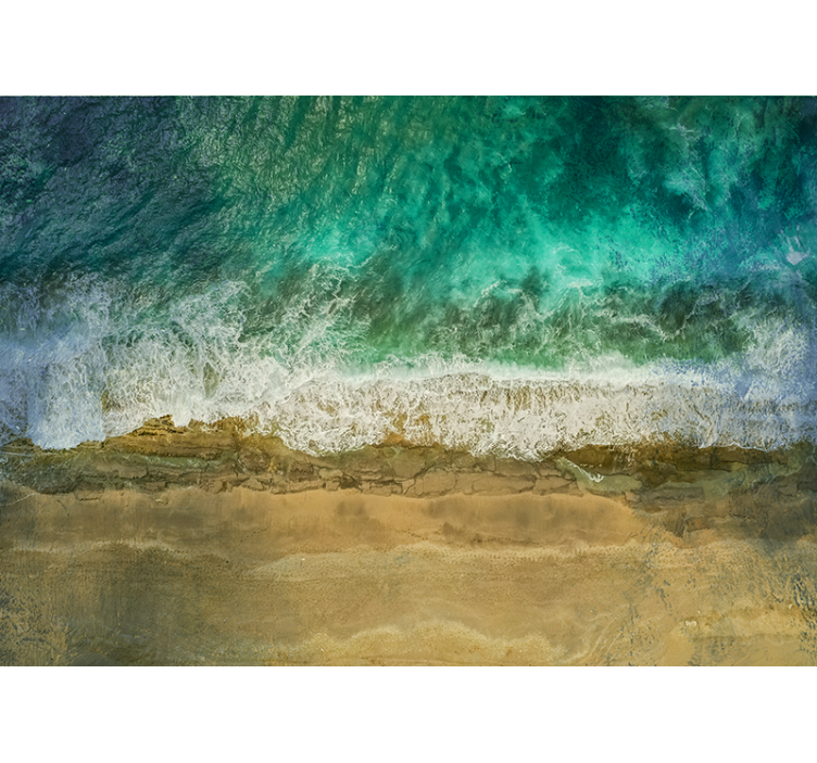 Kustplantenopstelling foto behang natuur - TenStickers