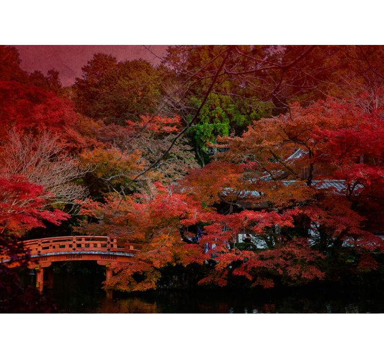Foto behang natuur herfst sereniteit - TenStickers