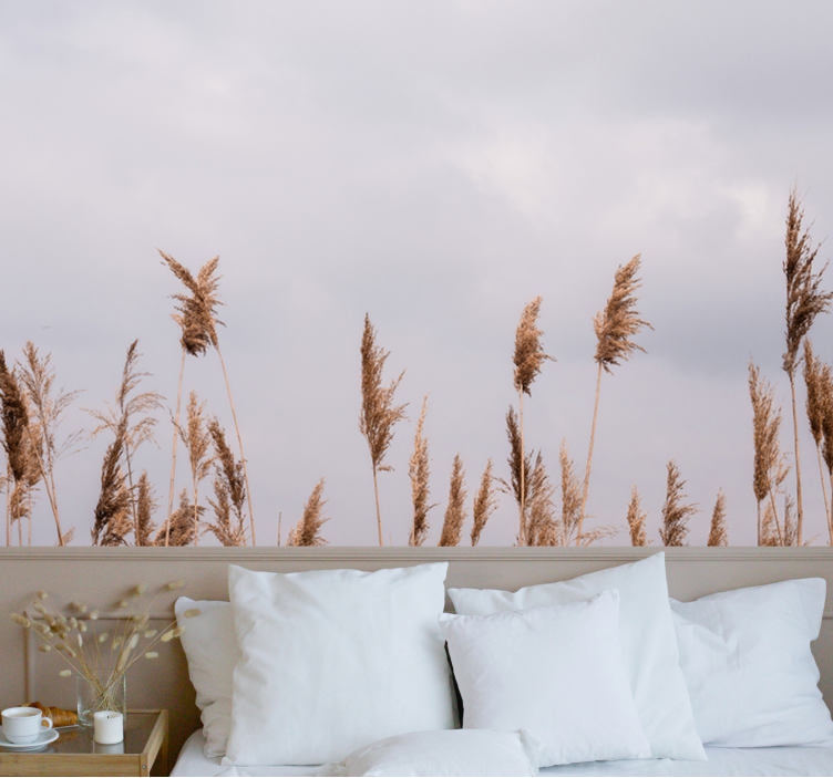 Bomen fotobehang hoge gras silhouetten - TenStickers