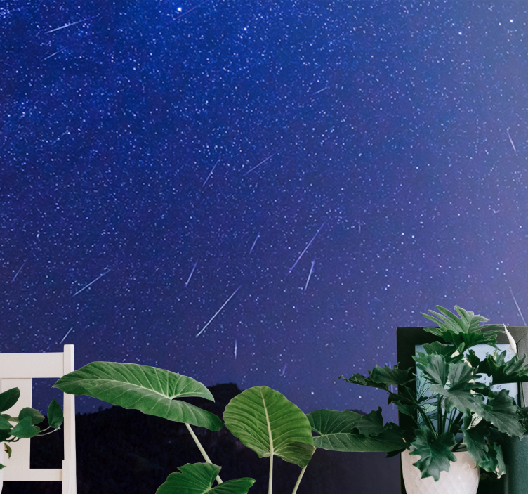 Foto behang bergen celestiale kometen nacht - TenStickers
