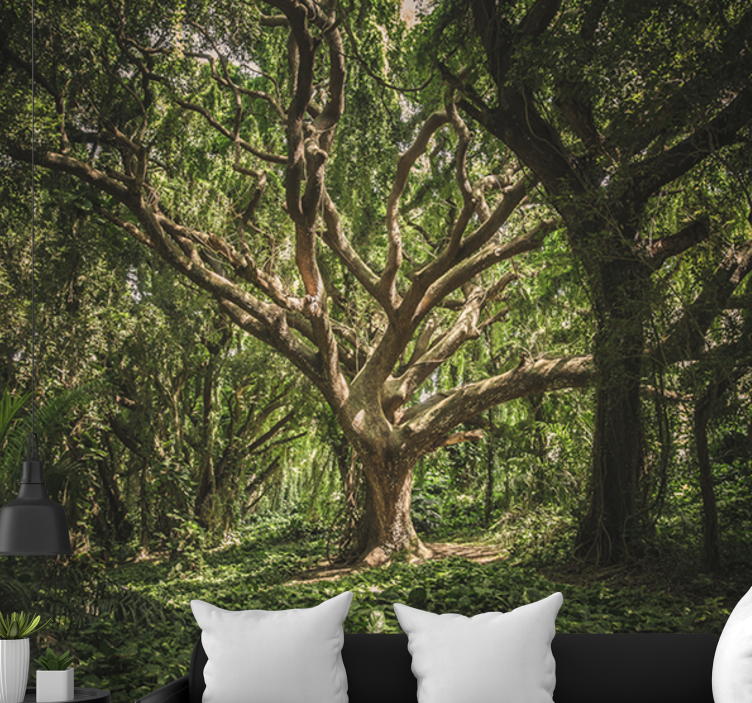 Foto behang bos majestueuze boskruin - TenStickers