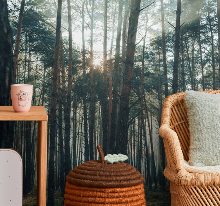 Foto behang bos serene dennenboomgaard - TenStickers