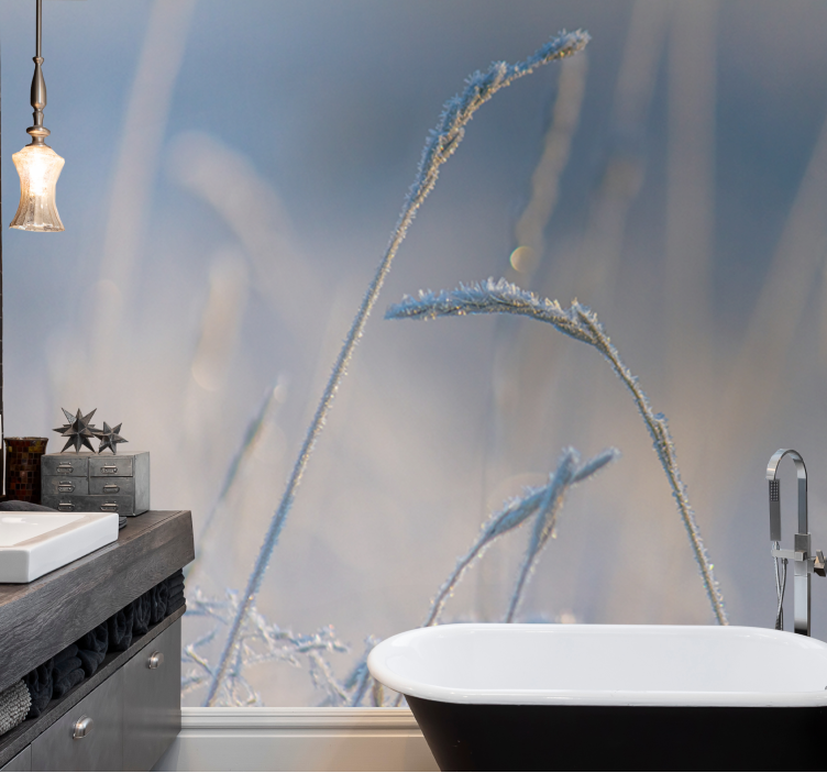 Foto behang natuur bevroren gras tips - TenStickers