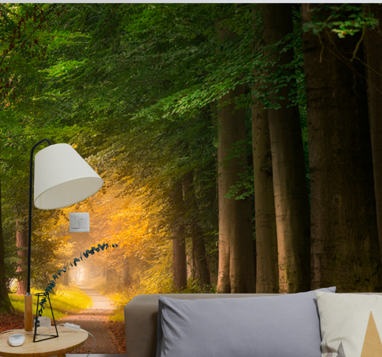 Foto behang natuur bospaadje scène - TenStickers