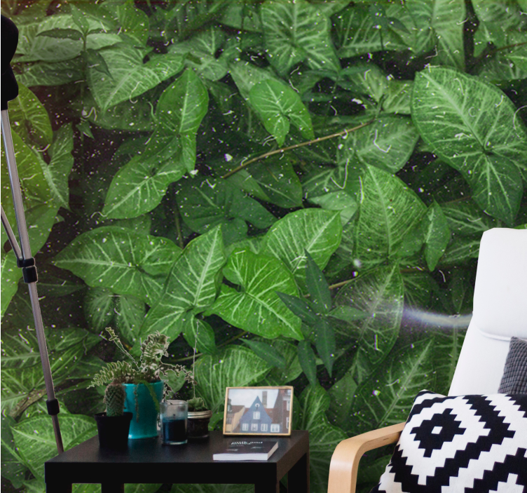 Foto behang natuur levendige bladeren compositie - TenStickers