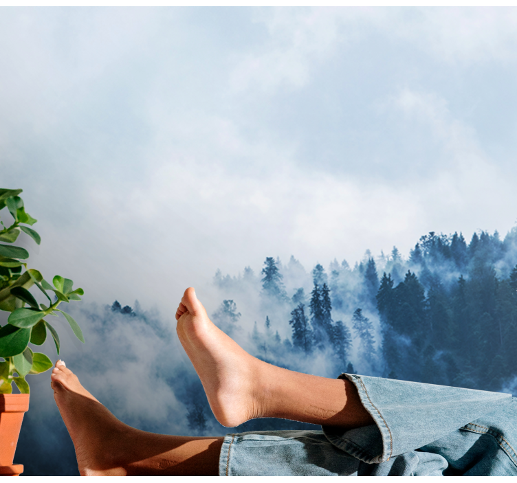 Foto behang natuur mistig boslandschap - TenStickers