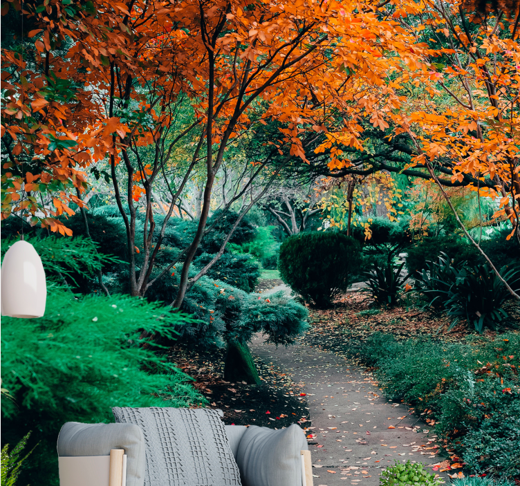 Foto behang natuur pad tussen bomen - TenStickers