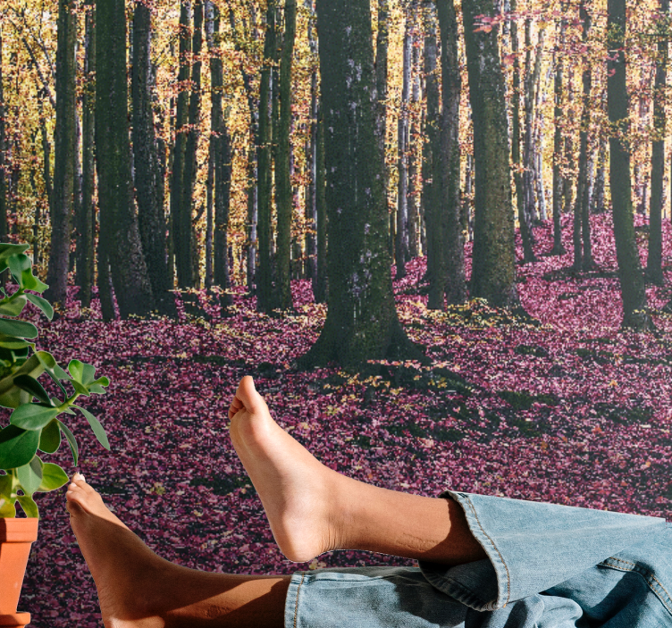 Foto behang natuur rustige bos scène - TenStickers