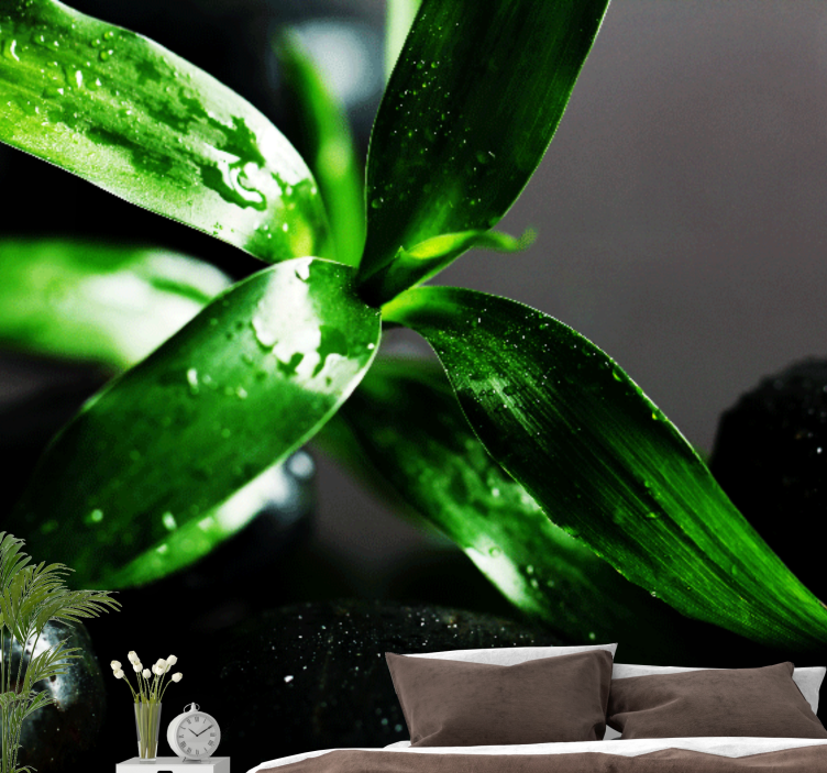 Foto behang natuur verse bladertextuur - TenStickers