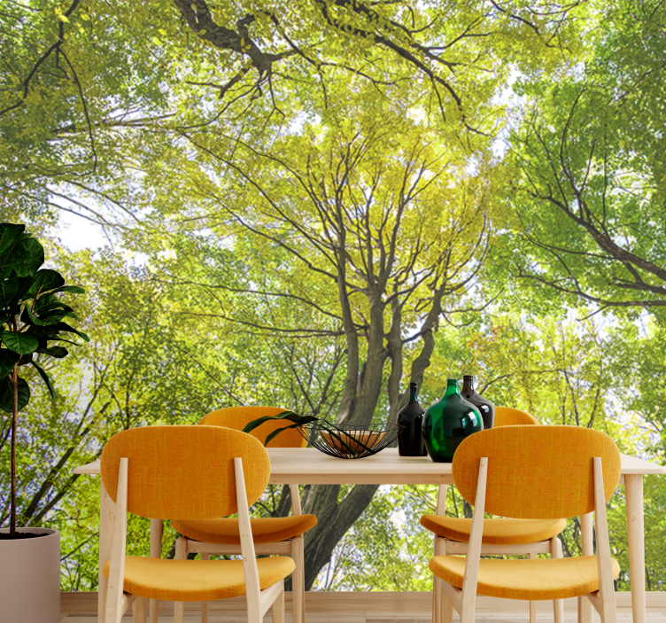 Foto behang natuur weelderige boskruin - TenStickers