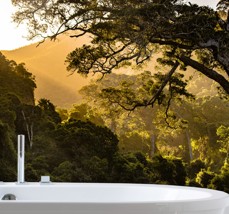 Foto behang natuur weelderige boslandschap - TenStickers