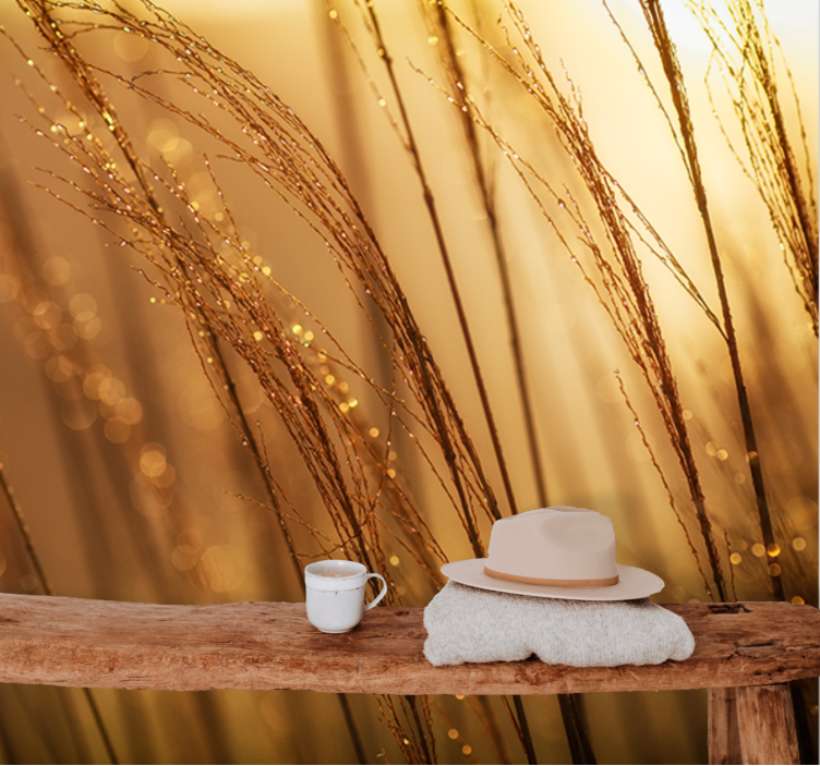 Foto behang natuur zacht gouden gras - TenStickers