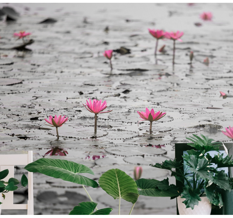Fotobehang bloemen roze lotus bloemen - TenStickers