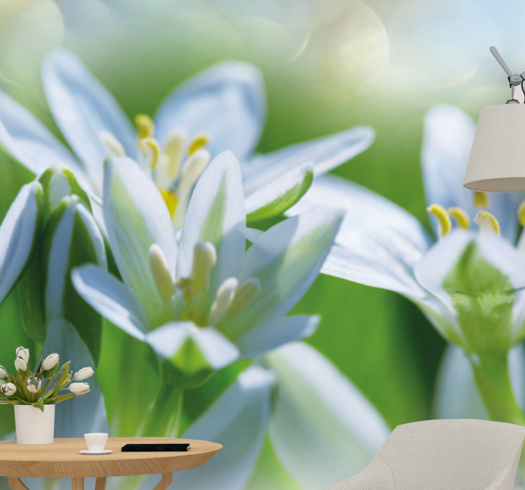 Fotobehang bloemen zachte witte bloesems - TenStickers