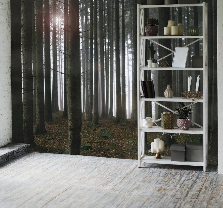 Bos fotobehang met dunne bomen - TenStickers