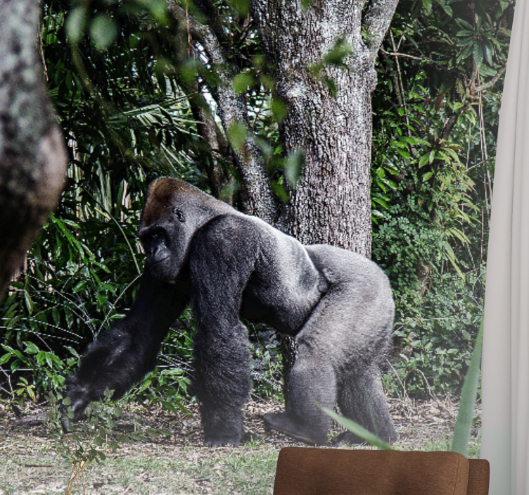 Fotobehang dieren majestueuze gorilla wandeling - TenStickers