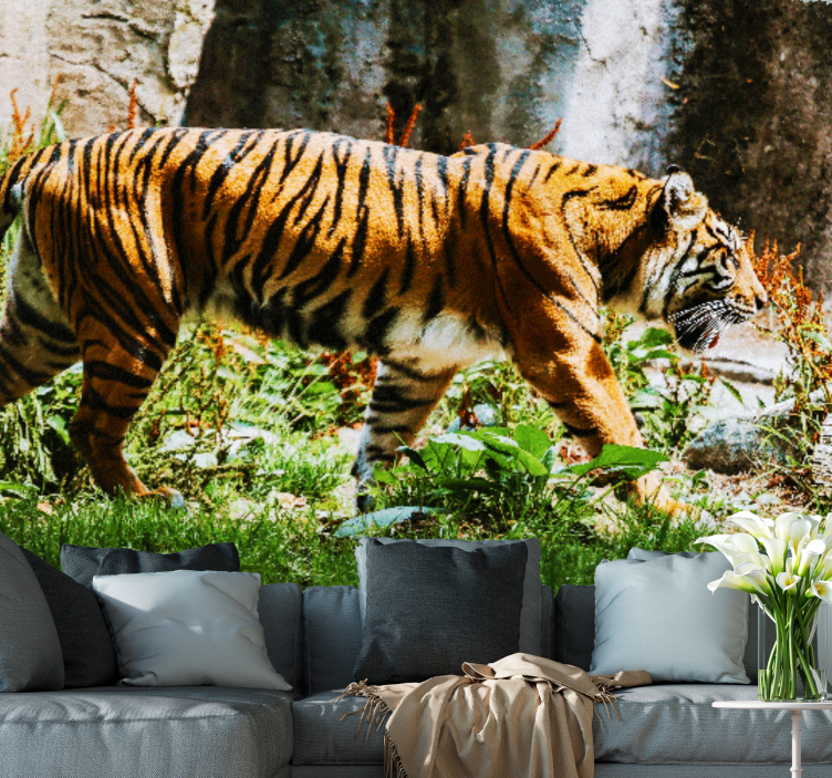 Fotobehang dieren majestueuze tijger wandeling - TenStickers