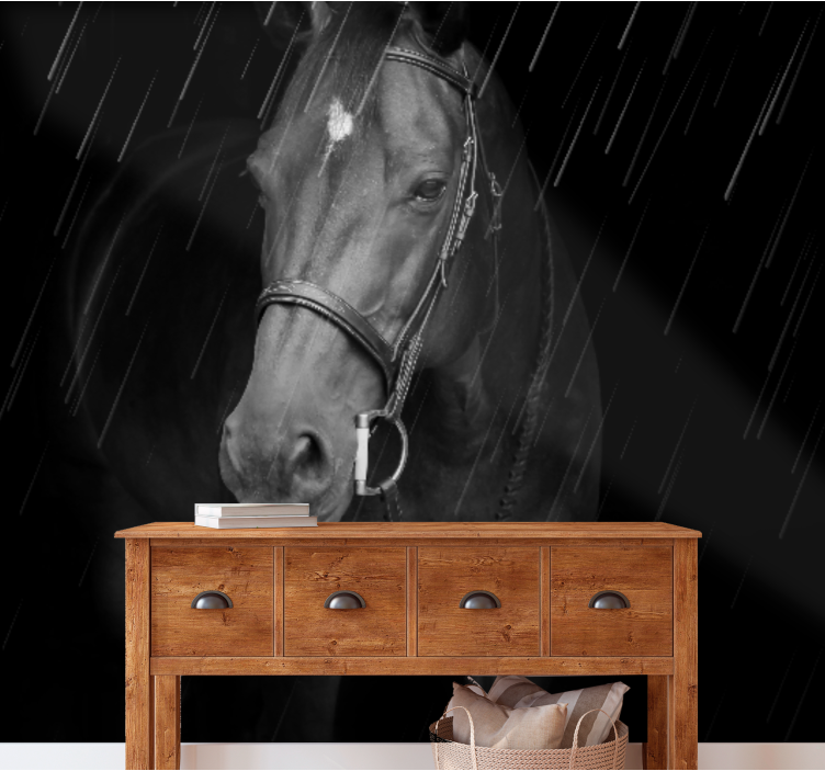 Fotobehang dieren regal paardenportret - TenStickers