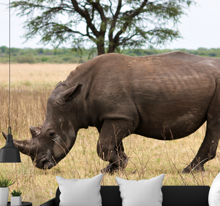 Fotobehang dieren rhino grazen serengeti - TenStickers
