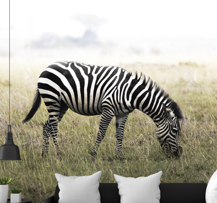 Fotobehang dieren zebra grazend in rust - TenStickers