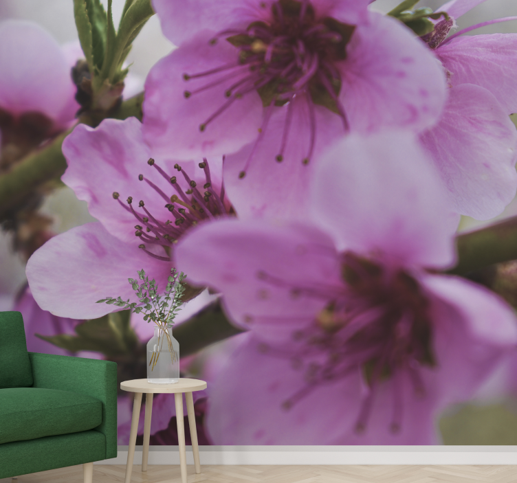 Fotobehang klaprozen stralende roze bloemen - TenStickers