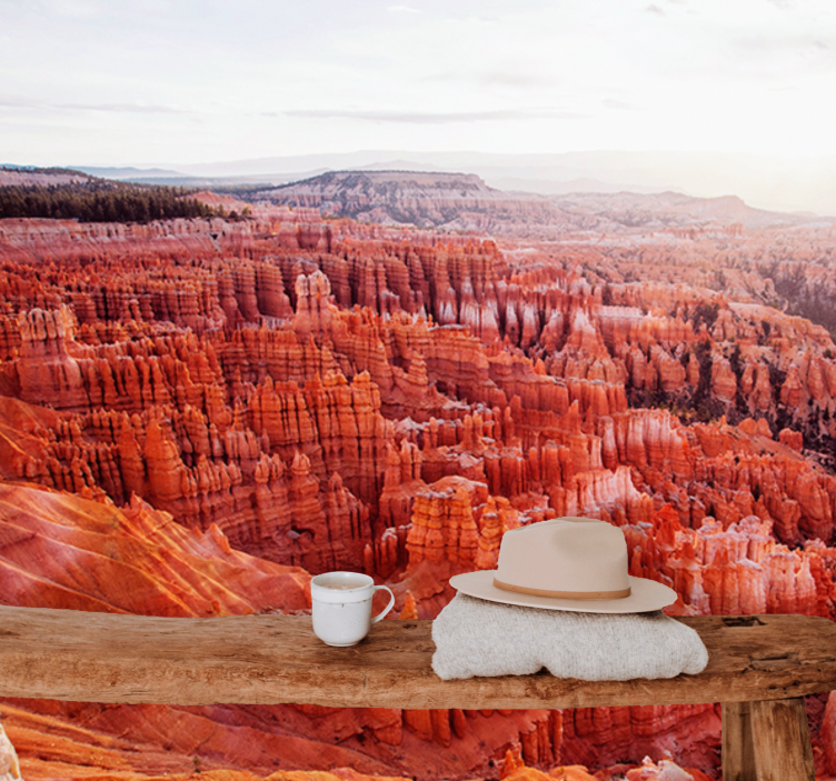 Fotobehang landschap bryce canyon uitzicht - TenStickers