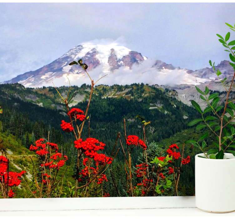 Fotobehang landschap met besneeuwde bergen - TenStickers