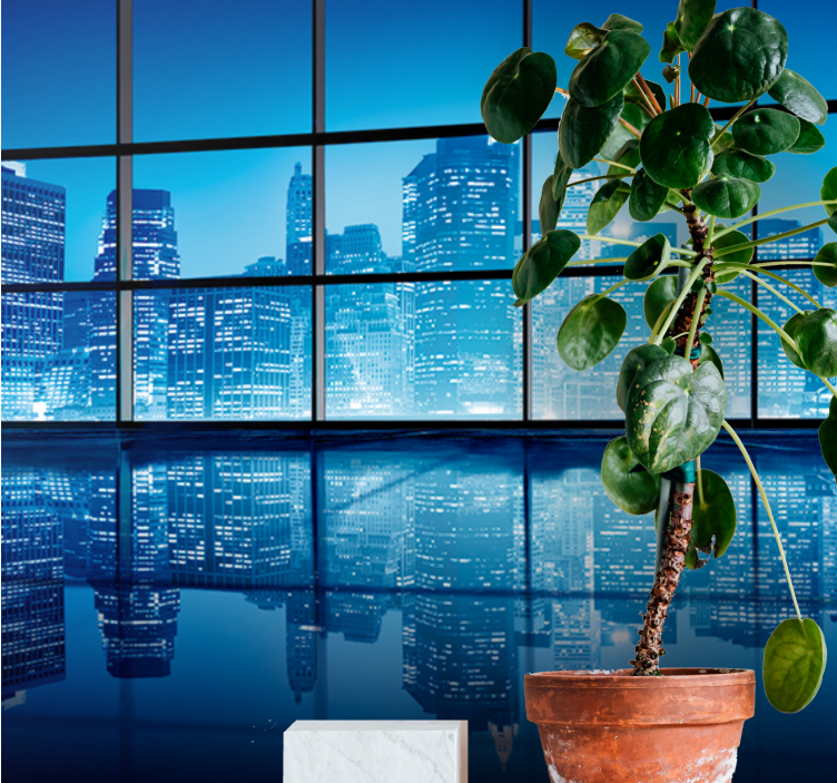 Fotobehang steden en landen nachtlandschap reflectie - TenStickers