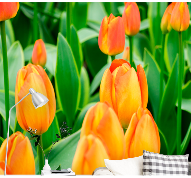 Fotobehang tulpen tulpenbloesems in overvloed - TenStickers