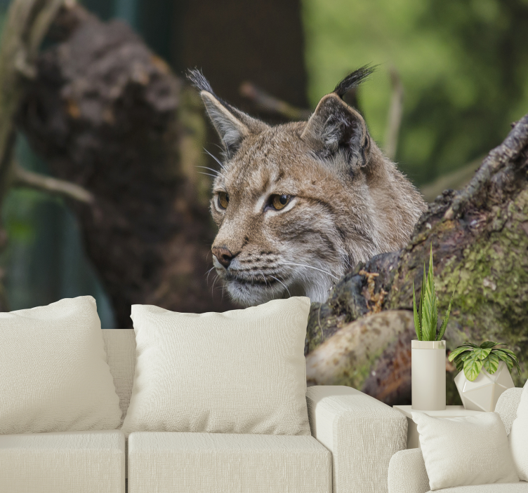 Lynx in de natuur fotobehang dieren - TenStickers