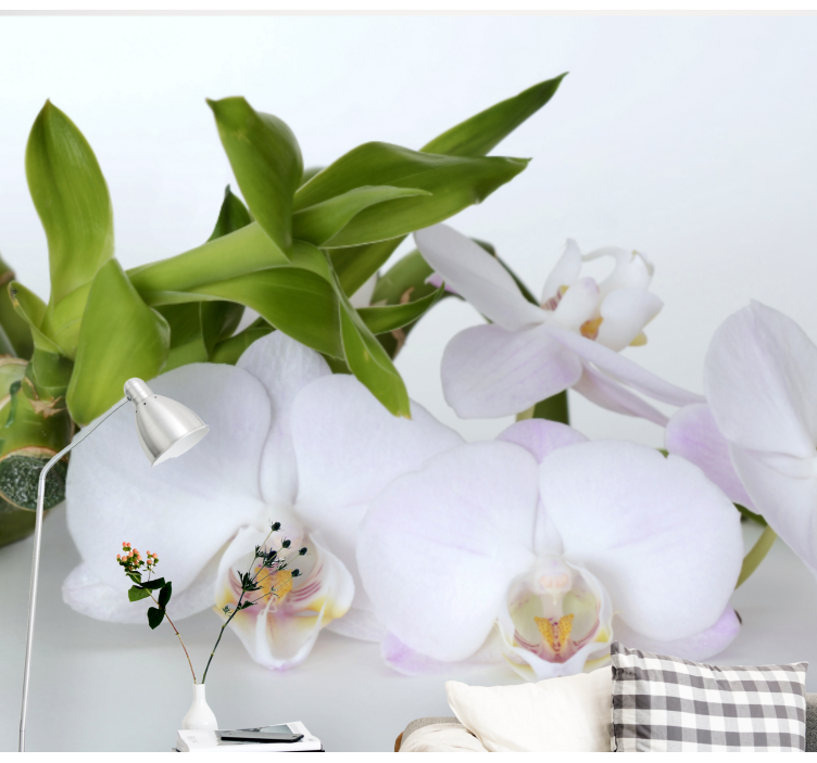 Orchideeën fotobehang elegante orchideeën arrangement - TenStickers