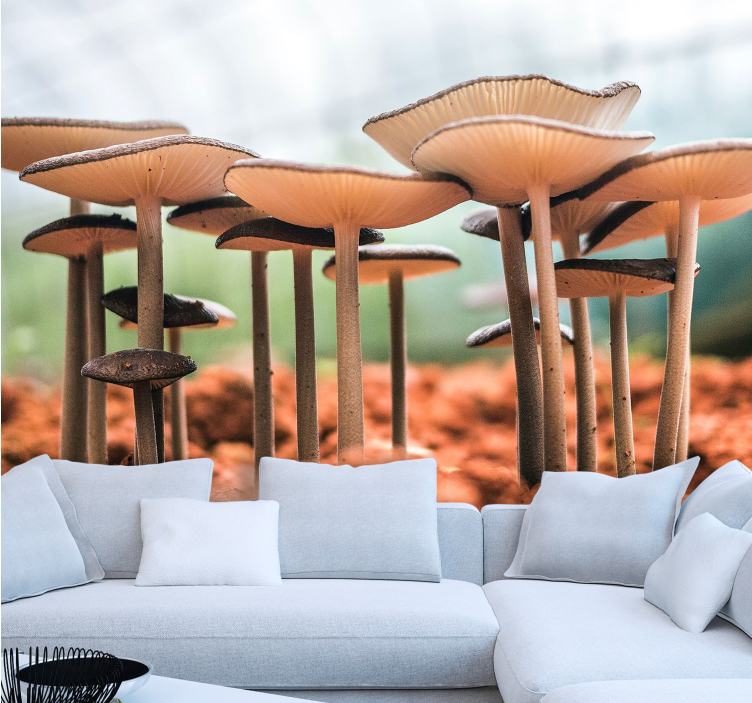 Paddenstoelencluster scène fotobehang anders - TenStickers